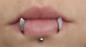Preview: Vampir Zahn Fangs - Labret Fake - Edelstahl