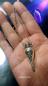 Preview: Harry Potter Felix Felicis Amphore Anhänger mit Halskette Silber