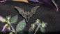 Preview: Fledermaus Pins Schwarz – Gothic Broschen für Kragen, Jacke & Tasche