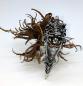 Preview: Gliederring Scorpion - altsilber Gothic Ring