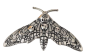 Preview: Haarspange Silber Motte Viking, Gothic, Vintage Haarschmuck