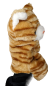 Preview: Tiegerkatze Handspieltier Handpuppe Webpelz Katze Handpuppe