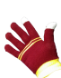 Preview: Harry Potter Gryffindor Handschuhe | Unisex | Touchscreen Handschuhe mit Wappen