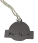 Preview: Jurassic Park T-Rex Medaillon Kette | Silber | Farbwahl | Reusbetter