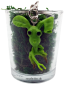 Preview: Phantastische Tierwesen und wo sie zu finden sind 2 -The Crimes of Grindelwald Bowtruckle Pickett Pocket Pop! Anhänger