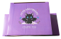Preview: Süßer gruseliger Keramik Kaffee-Tee Pott mit Katzen Fledermaus-Print