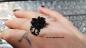 Preview: Damen Modeschmuck Ring Handgefertigt Cabochon Rose