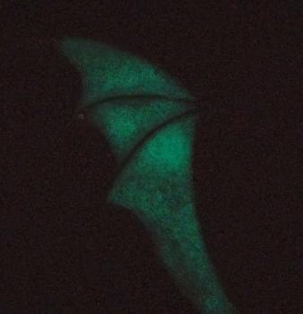 The Night With Ohr Clip Ohrring Fledermaus - Alchemy Gothic - Fluoreszierend