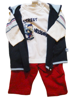Kleinkinder Baby Kombi 3 Teillig  Shirt Hose und Kaputzen Jacke