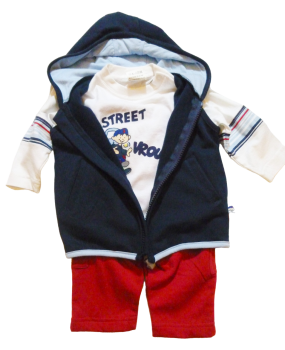 Kleinkinder Baby Kombi 3 Teillig  Shirt Hose und Kaputzen Jacke
