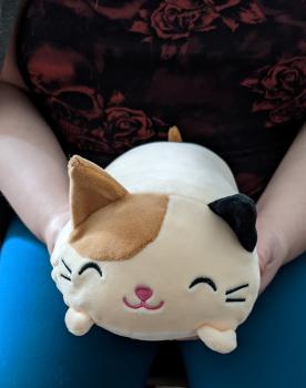 Nemu Neko Cosplay Süßes Plüsch Katzenkissen Furyu