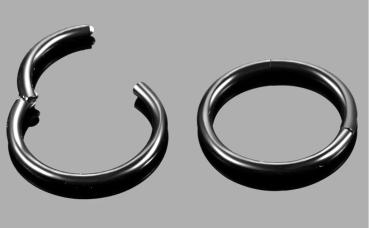 Segement Ring ❖ Septum ❖ Helix ❖ Nasen Piercing ❖ Segement Ring 8mm ❖ Titan G23