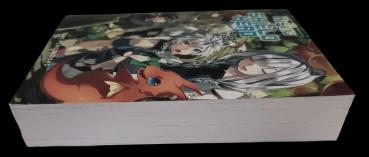 The Rising Of The Shield HeroVolume 09 Light Novel von Yusagi