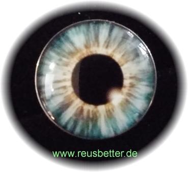 Ohrstecker Iris Auge Blaugrau | Edelstahl  | Glas Cabochon | Silber