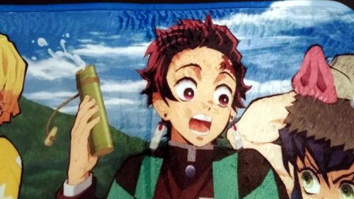 Demon Slayer Anime Motiv Fußmatte Türmatte Bettvorleger
