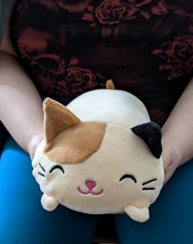 Nemu Neko Cosplay Süßes Plüsch Katzenkissen Furyu