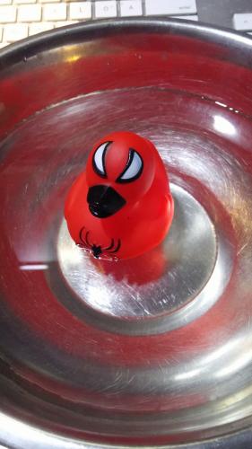 Spider-Man Motiv Badeente Quietscheente Quietscheentchen
