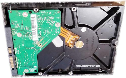 Western Digital Caviar Green WD10EACS - 07D6B1 | 3,5 Zoll | 1TB Intern 7200RPM