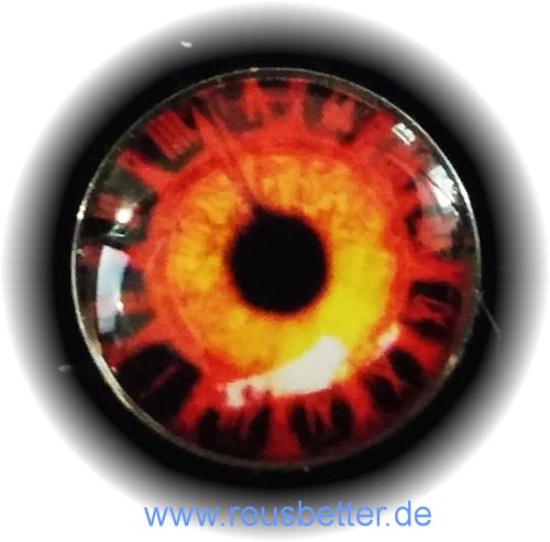 Ohrstecker Korona Augen ✿ Edelstahl ✿ Cabochon