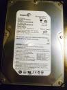 Seagate Barracuda 200 GB 7200.10 IDE Computer Festplatte